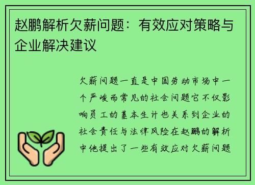 赵鹏解析欠薪问题:有效应对策略与企业解决建议 赵鹏解析欠薪问题:有效应对策略与企业解决建议